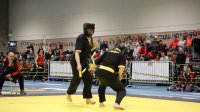 IMG_3377.JPG
